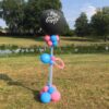 gender reveal zwart