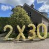 ballonnen pilaren xl 2 x 30