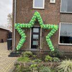 Ballonnenboog ster groen