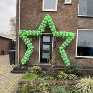 Ballonnenboog ster groen